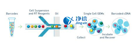 中國人自己的微流控單細(xì)胞測序儀來了！_微流控Drop-seq,微流控技術(shù)