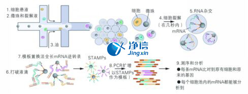 中國人自己的微流控單細(xì)胞測序儀來了！_微流控Drop-seq
